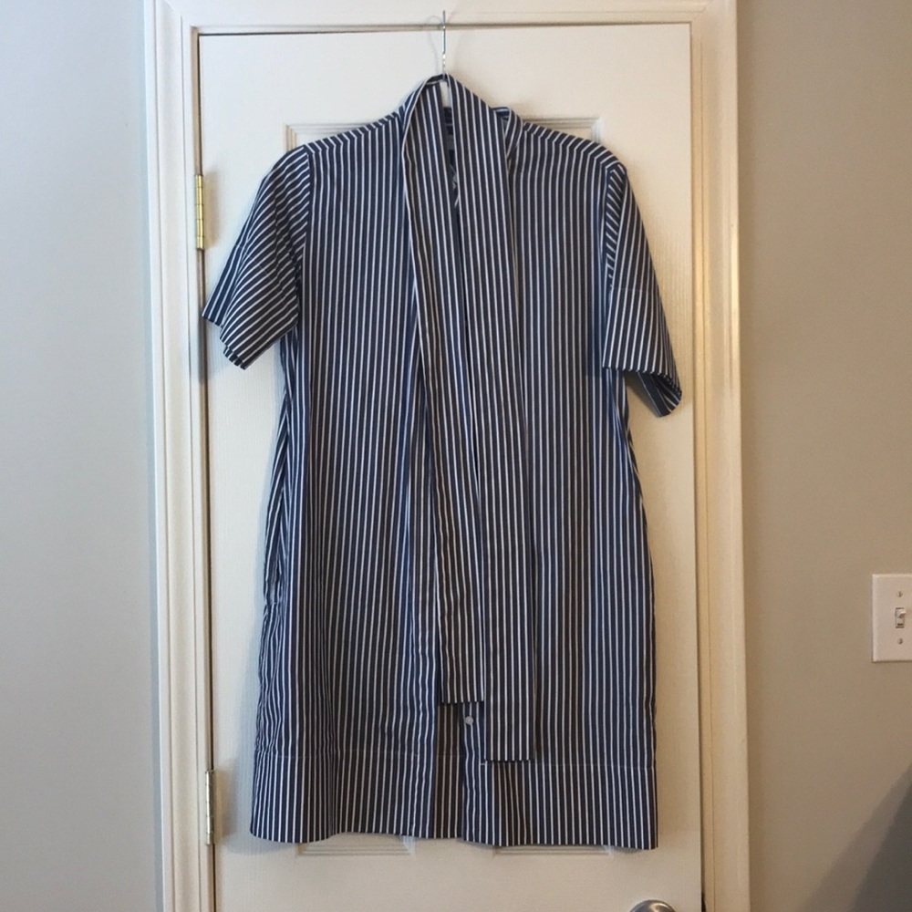 Everlane collarless shirt dress